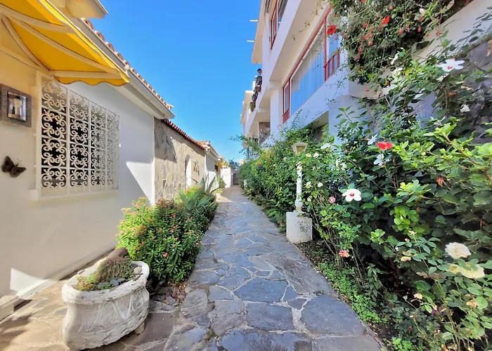 Lejlighed Casa Hibiscus